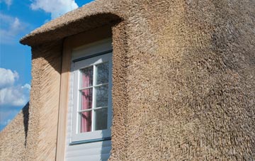 Stralongford thatch roof disadvantages